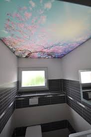 Bedruckte Spanndecke Im Wc Bad Toilette Spanndecke Wc Beleuchtung Decke Beleuchtung Decke Spanndecken Bad Decke