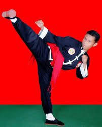 Gambar manusia dibayangi kera, melambangkan bahwa pelajaran ilmu bela diri yang diajarkan kepada semua anggota perguruan iks.pi kera sakti adalah menggunakan jurus atau gerakan silat aliran kera. Gambar Gerakan Jurus Ikspi Cara Golden