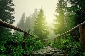 Wayne and Tamerae Beardsley