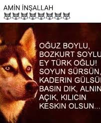 Gunduz Gece Yildirim Adli Kullanicinin Ccc Asena Panosundaki Pin Arkaplan Tasarimlari Turkler