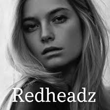 Hi everyone can anyone recommend a good company to buy a dog bed? We  obviously need a large one. Plus I need extra comfort for my big girls hip  thank you |