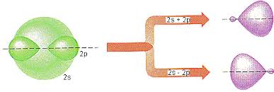 Hybrid Atomic Orbitals