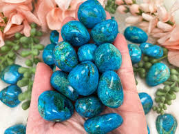 Image result for Chrysochloa