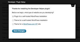 Developer Plugin V1 1 Optimize Your Theme Development Environment Development Plugins Optimization