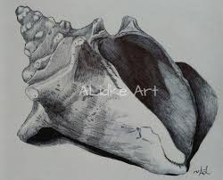 We did not find results for: Ink Drawing Of A Conch Shell Drawing