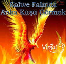 kahve falinda kus gormek vipfal com