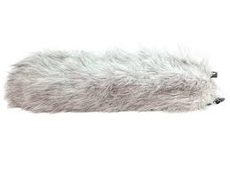 Image result for dead wombat