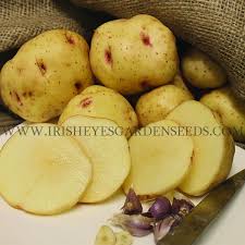 Maybe you would like to learn more about one of these? What Makes A Potato Grow Eyes Npck