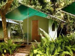 Click on any of the item below for more info. Hostel Jungle Lodge Cape Tribulation Daintree Tropical North Coast Qld Hotelopia