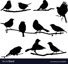Silhouettes Bird On A Branch Vector Image On Bird Silhouette Bird On Branch Bird Stencil