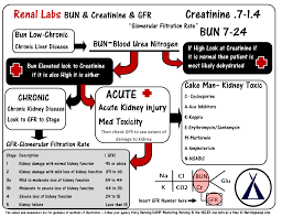Bun Creatinine And The Evaluation Of Renal Functioning Nursing Notes Nursing Mnemonics Nursing Labs