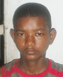 Teen brothers stung by Africanised bees