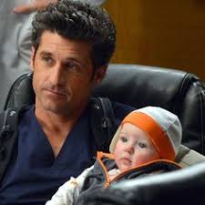 11 ideas de Bailey Grey Shepherd