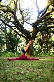 Yoga — chillout lounge attitude. Yoga Is Like Music The Rhythm Of The Body The Melody Of The Mind And The Harmony Of The Soul Create The Symphon Yoga Pictures Yoga Photography Iyengar Yoga