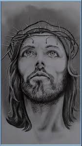 Sandra Heffernan (heffernan1341)