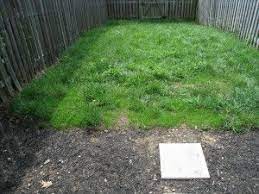How To Get New Grass To Grow In The Heat Of Summer Seed With Potting Soil Planting Grass Lawn Soil Potting Soil