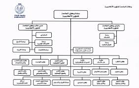 Home وكالة الجامعة للـشؤون الأكاديمية Albaha University