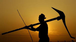 Silhouetted India Pictures Reuters Farmer Painting Agriculture Photography Village Photography