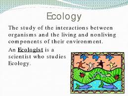 Biotic And Abiotic Factors In An Ecosystem Slideshare This Powerpoint Presentation Has 31 Slides And Covers The Following Topics Ecology Environmental Organization Popula Ecology Science Topics Teaching Science