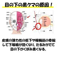 目の下の黒クマ解消 眼球体操のやり方３選 目のくま 目の下 下まぶた メイク