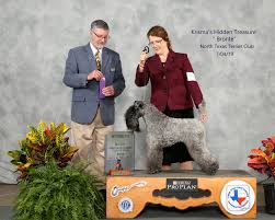 Profile for Kerry Blue Terrier Club of Texas