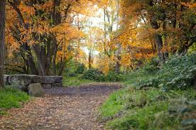 We also carry healthy plants, helpful tools and a wide variety of other home goods. Must Read 11 Best Things To Do In Idaho Falls 2020