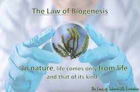 Carbon Valley Church Of Christ The Laws Of Science Themselves Are Against The Best Theory Man Can Come Up With Alone We Believe There Is A Supernatural Answer To The Questions