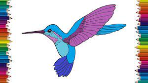 We did not find results for: How To Draw A Hummingbird Step By Step Bird Drawing Easy