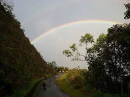 Tambunan raflesia reserve, 500, 89650 tambunan, sabah. 20 Tempat Menarik Di Tambunan Sabah Untuk Percutian Sabah Post