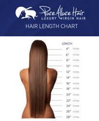 Natural Curly Hair Length Chart Www Bedowntowndaytona Com