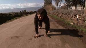 Air jerukmerendam kuku dengan air jeruk akan memberikan efek yang cukup baik untuk kuku, dimana kuku akan terlihat minyak zaitun bisa dijadikan bahan alami untuk merawat kuku tangan dan kaki. Kisah Lima Beradik Yang Berjalan Menggunakan Empat Kaki Seperti Beruang Iluminasi