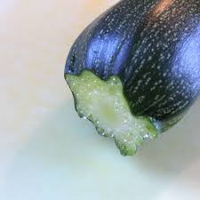 We did not find results for: Strange Orange Gel On Surface Of Zucchini Seasoned Advice