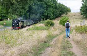 Brenda Trindade top rated