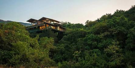 Elevated canopy living at The Machan, AI generated