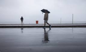 Trend Google: meteorologia