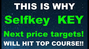 The cryptocurrency market itself has proven to be highly volatile, ruled by news from regulators and influencers and driven by crowd psychology. Selfkey Key Analysis Price Prediction Key Holders Must Watch Best Crypto 2021 Top 1 Altcoin Youtube