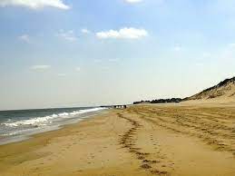 Cape Henlopen State Park Beach In March 2013 State Parks Beach Cape Henlopen