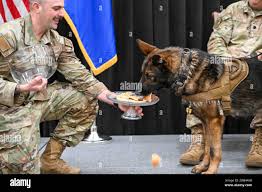 Air force staff sgt daniel hi-res stock photography and images