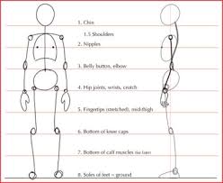 A female body outline template comes in handy times without number mostly in the field of fashion design and other fields. Human Anatomy Fundamentals Basic Body Proportions