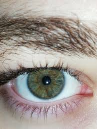 Https Instagram Com Burak Maras Utm Source Ig Profile Share Igshid I13flecec02b Green Eyes Eyes Greeneyes Cosmic Human Natural Naturaleyemakeup