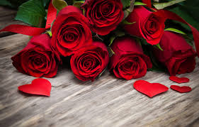Browse millions of popular beach rose wallpapers and ringtones on zedge and personalize your phone to suit you. Red Rose 4k Wallpapers Top Free Red Rose 4k Backgrounds Wallpaperaccess