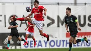 Films en vf ou vostfr et bien sûr en hd. Made In Benfica Campus Paulo Bernardo Sl Benfica