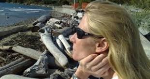 Vancouver's Elan video-game awards flat, lacklustre—and finished?