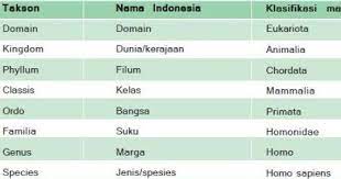 We did not find results for: Perhatikan Tingkatan Takson Mahluk Hidup Berikut Urutan Tingkatan Takson Dari Yang Tertinggi Hingga Terendah Pada Hewan Adalah Blog Pak Pandani