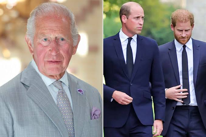 King Charles Has One Wish for Estranged Sons Prince Harry and Prince William  (Exclusive Source)
