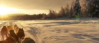 Finnland ist ein tolles reiseziel und in diesem schönen ferienhaus finden sie alles, was ihren urlaub zum unvergesslichen erlebnis macht. Ferienwohnungen Ferienhauser Im Lappland Casamundo