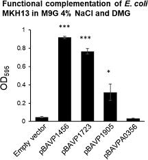E. coli strain MKH13 complemented with the empty vector, bccT1... |  Download Scientific Diagram