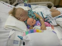 Focusing on inpatient and outpatient rehabilitation, life care center of port st. Port St Lucie Toddler May Need Plastic Surgery After Dog Attack