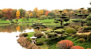 All of our water garden, waterfalls, japanese koi pond landscape design and installation are environmentally friendly with use of sustainable gardening materials and techniques. The Charm And Challenges Of Garden Ponds Excerpts From The 2014 2015 Najga Journal Moments Of Ma