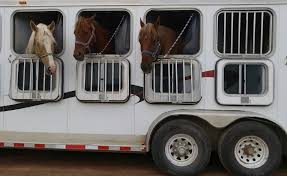 Following months of planning and saving, your travel itinerary is final, ready entertainment and your kids are even on board to call a recreational vehicle home for a few weeks. The Beginner S Guide To Loading A Horse Trailer The Plaid Horse Magazine